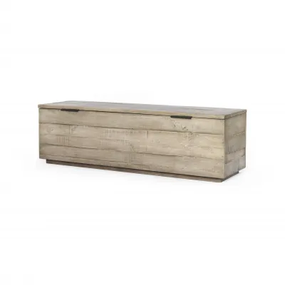 Dillon Trunk Weathered Salvage Grey