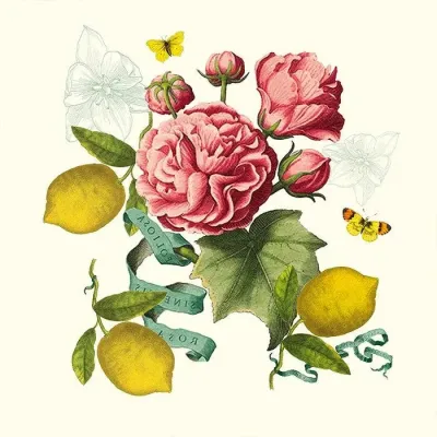 Citrons De Menton Romance Napkin 18"x18"