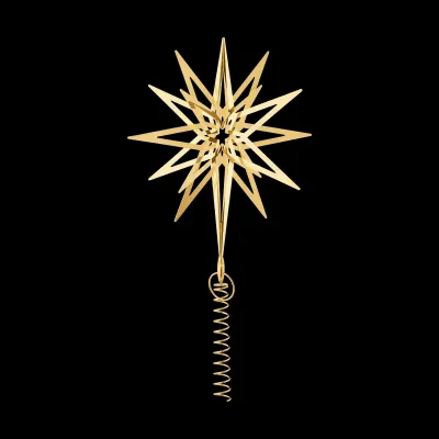 2025 Lyra Top Star