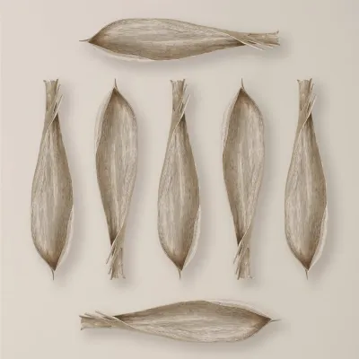 Palm Seed Pod Nickel