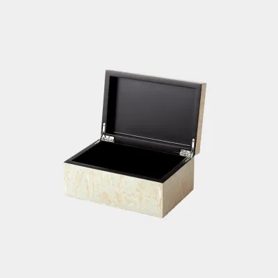 Champagne Silver Leaf Box 4"H x 6"W x 9"D