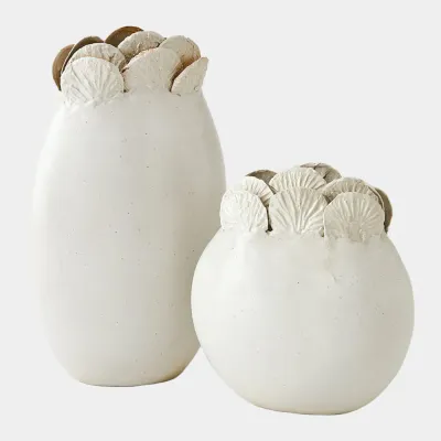 Sand Dollar White Vase