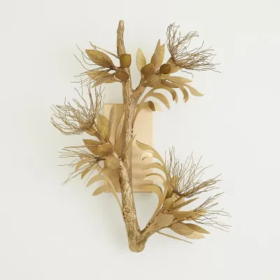 Albizia Wall Sconce