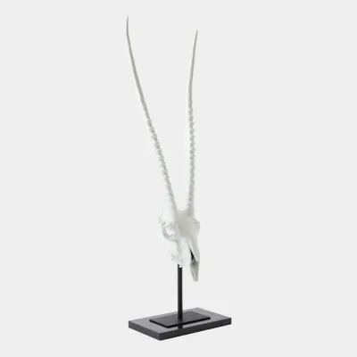 Gemsbok Matte White Skull Sculpture