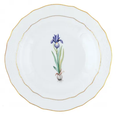 Spring Bulbs Multicolor Spring Dessert -Iris