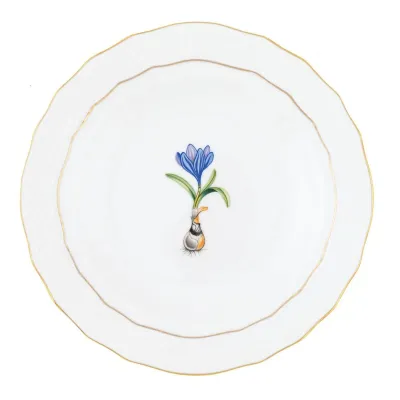 Spring Bulbs Multicolor Spring Dessert -Crocus