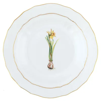 Spring Bulbs Multicolor Spring Dessert -Daffodil