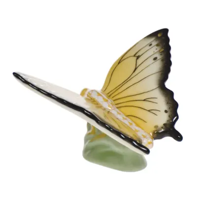 Butterfly Butterscotch 1.75 in L X 1.25 in H