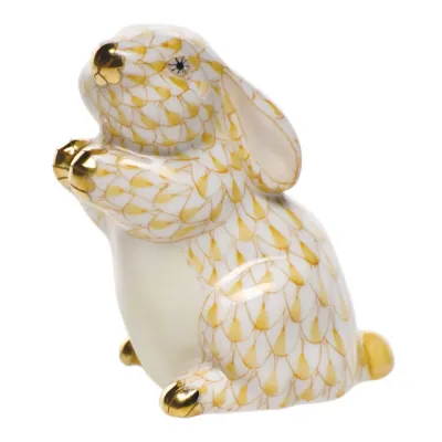 Pudgy Bunny Butterscotch