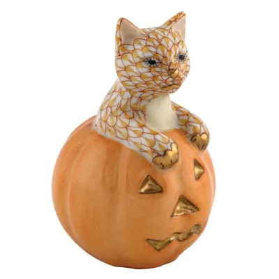 Jack O Lantern Kitty Butterscotch