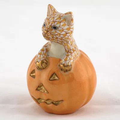 Jack O Lantern Kitty Butterscotch