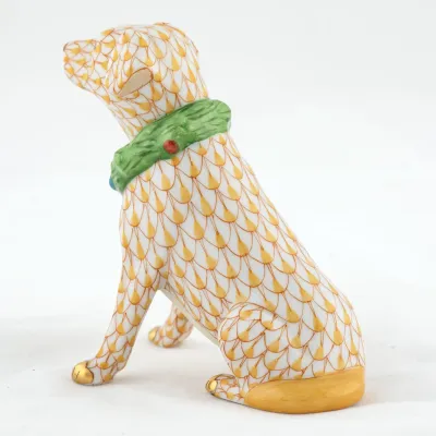 Holiday Dog Butterscotch