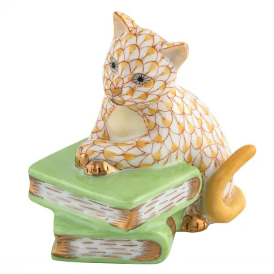Cat On Books Butterscotch