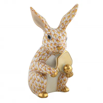 Pickleball Bunny Butterscotch