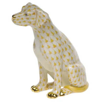 Seated Dog Butterscotch 4.25 in H