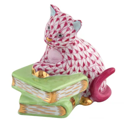 Cat On Books Raspberry