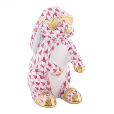 Sunny Bunny Raspberry