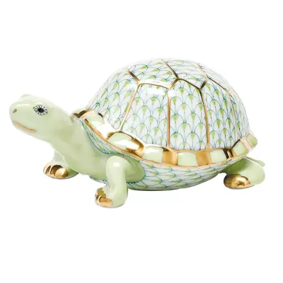 Small Box Turtle Key Lime 3.75 in L X 1.5 in H