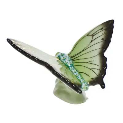 Butterfly Key Lime 1.75 in L X 1.25 in H