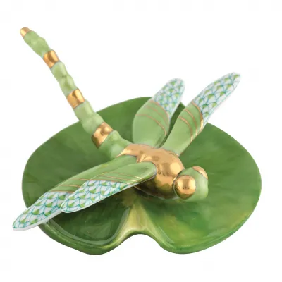 Dragonfly On Lily Pad Keylime