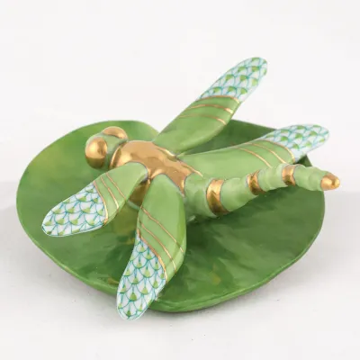 Dragonfly On Lily Pad Keylime