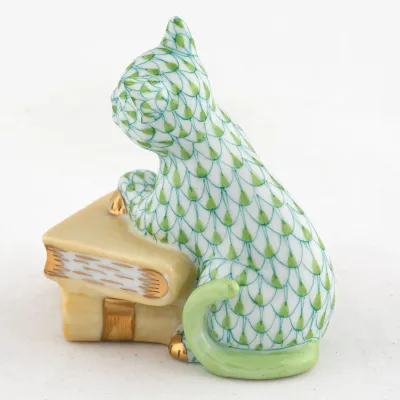 Cat On Books Keylime