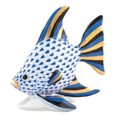 Angel Fish Sapphire 4.5 in L X 2.25 in W X 4.5 in H