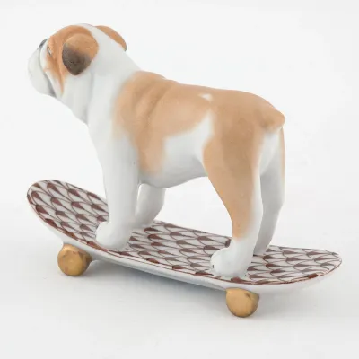 Skateboarding Bulldog Chocolate