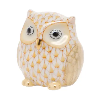 Owlet Butterscotch 1.25 in H X 1.25 in W