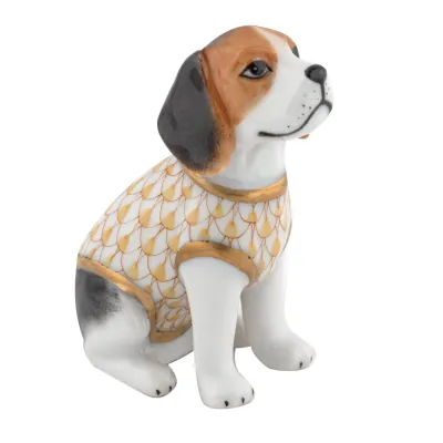 Beagle Puppy Butterscotch