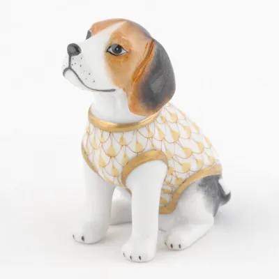 Beagle Puppy Butterscotch