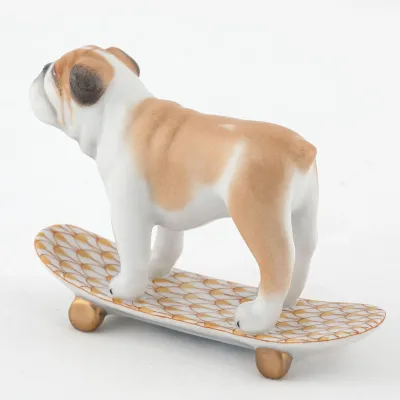 Skateboarding Bulldog Butterscotch