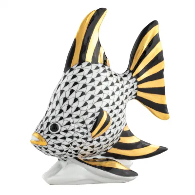 Angel Fish Black