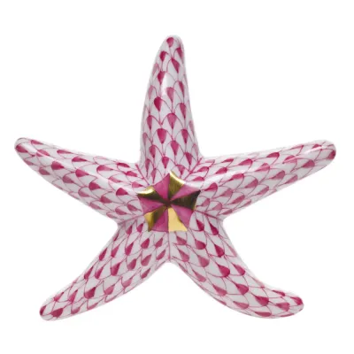 Miniature Starfish Raspberry 3 in L