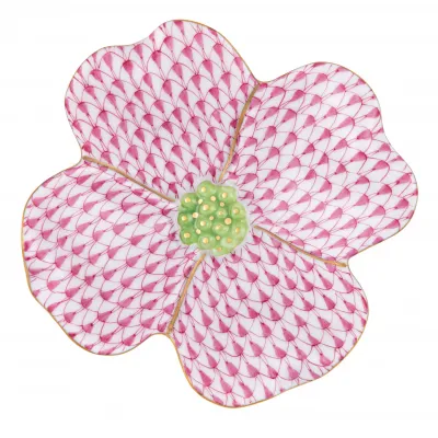 Dogwood Flower Raspberry