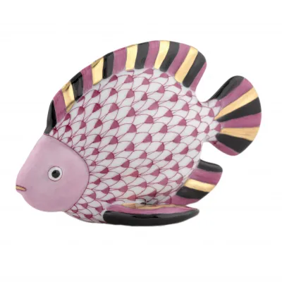 Fish Raspberry