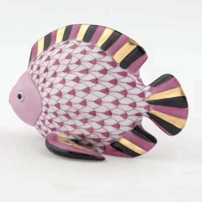 Fish Raspberry