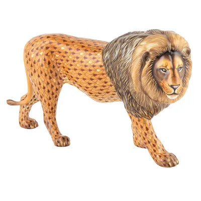 King Of The Jungle Multicolor