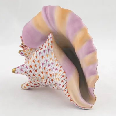Conch Shell Multicolor