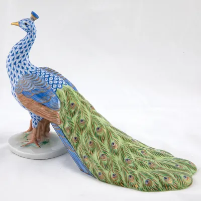 Proud Peacock Multicolor