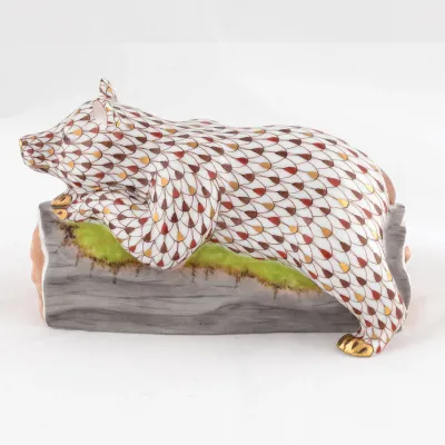 Napping Bear Multicolor