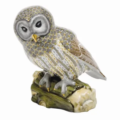 Gray Barred Owl Multicolor 6.5 in L X 6 in H