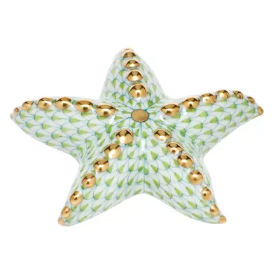 Puffy Starfish Key Lime 3.25 in W X 0.5 in H
