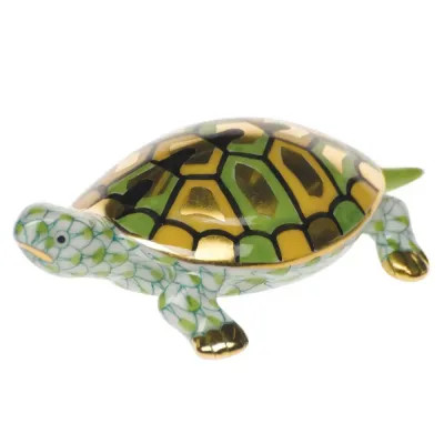 Baby Turtle Key Lime 2.25 in L X 0.75 in H