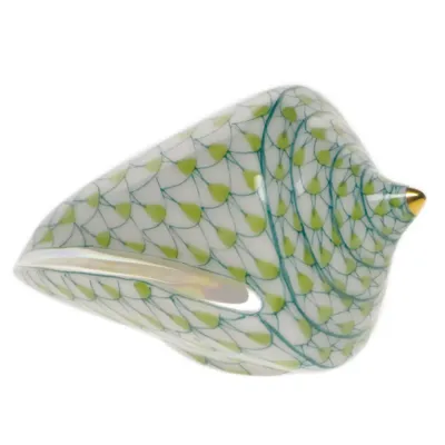 Cone Shell Key Lime 1.75 in L X 1 in W