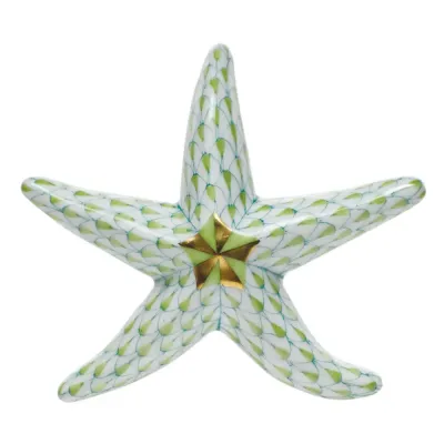 Miniature Starfish Key Lime 3 in L