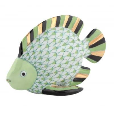 Fish Keylime