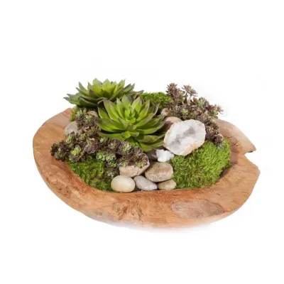Succulents With Stone Crystal in Wood Bowl 15" Diameter