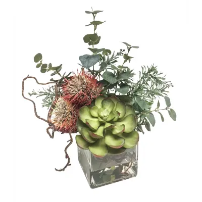 African Protea & Eucalyptus in Glass 17 x 16 x 16"