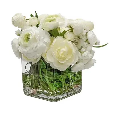 White Ranunculus In 5" Glass Cube